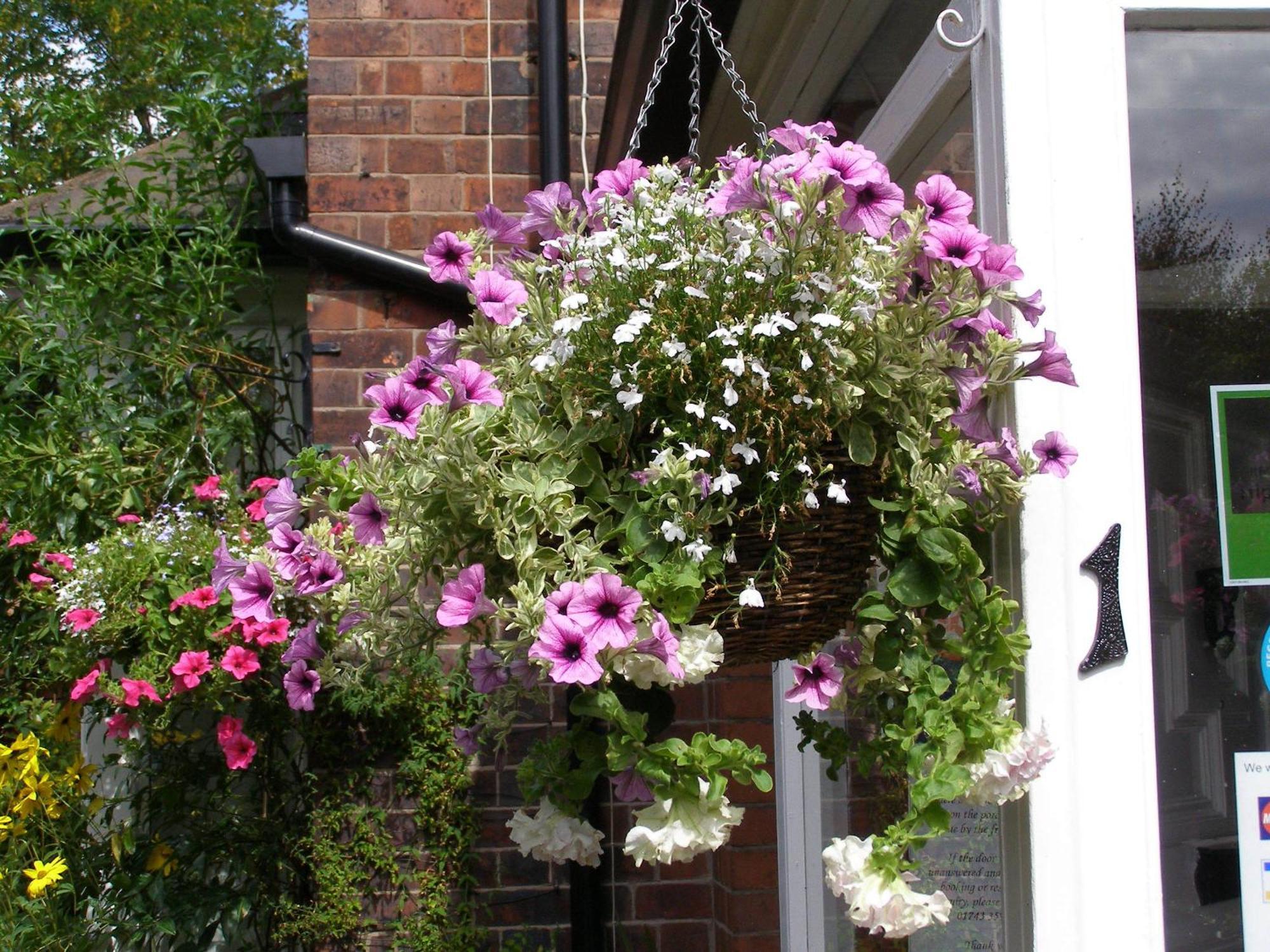 Anton Guest House Bed And Breakfast Shrewsbury Zewnętrze zdjęcie